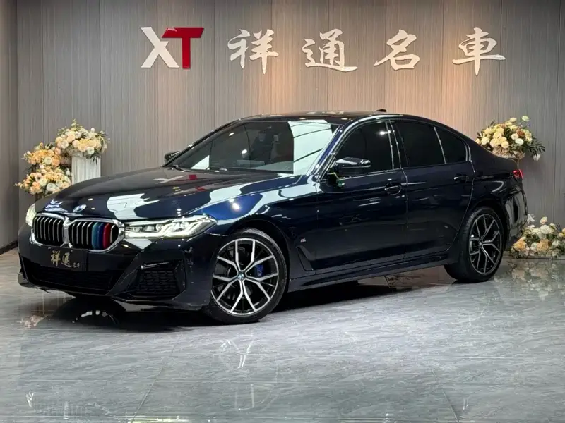 BMW 5 Series (Import)