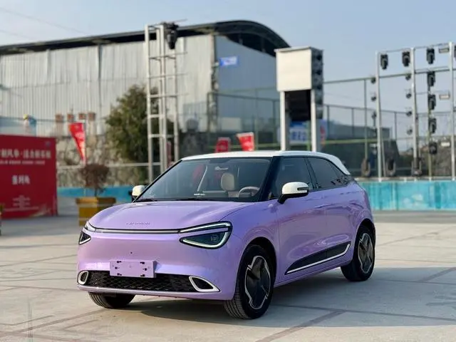 Dongfeng Yipai Nami 01