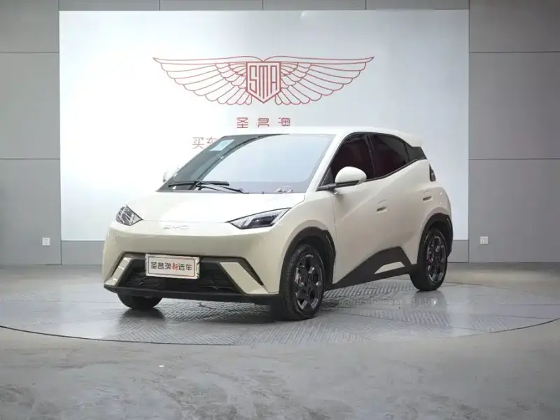 BYD Seagull