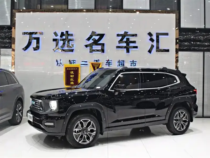 Haval Dargo PLUS NEV
