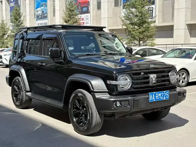 Tank 300