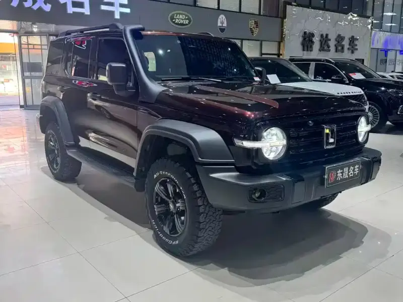 Tank 300