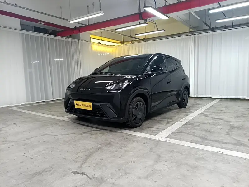BYD Seagull