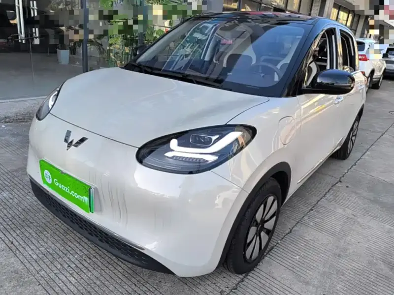 Wuling Bingo