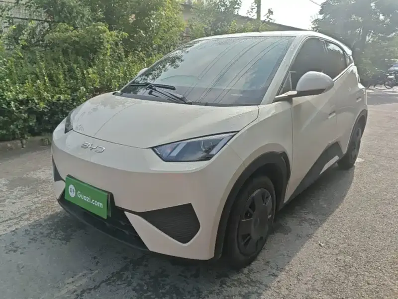 BYD Seagull