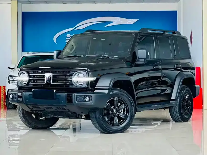Tank 300