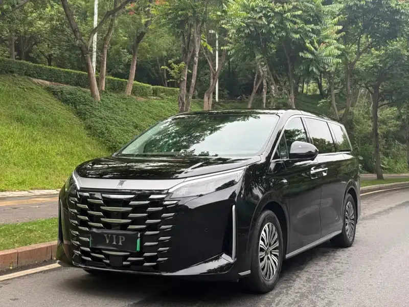 BYD Xia