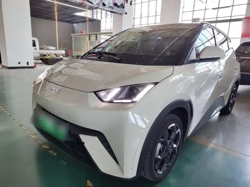 BYD Seagull