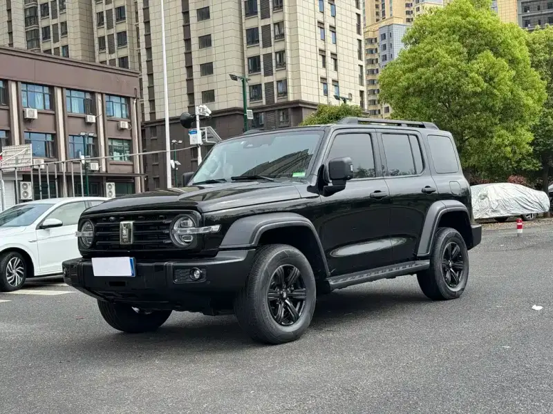 Tank 300