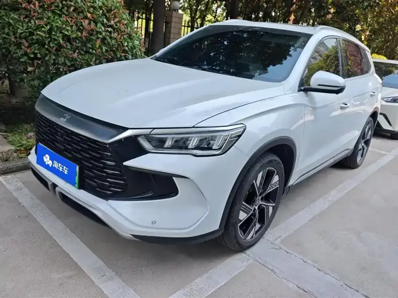 BYD Pro New Energy