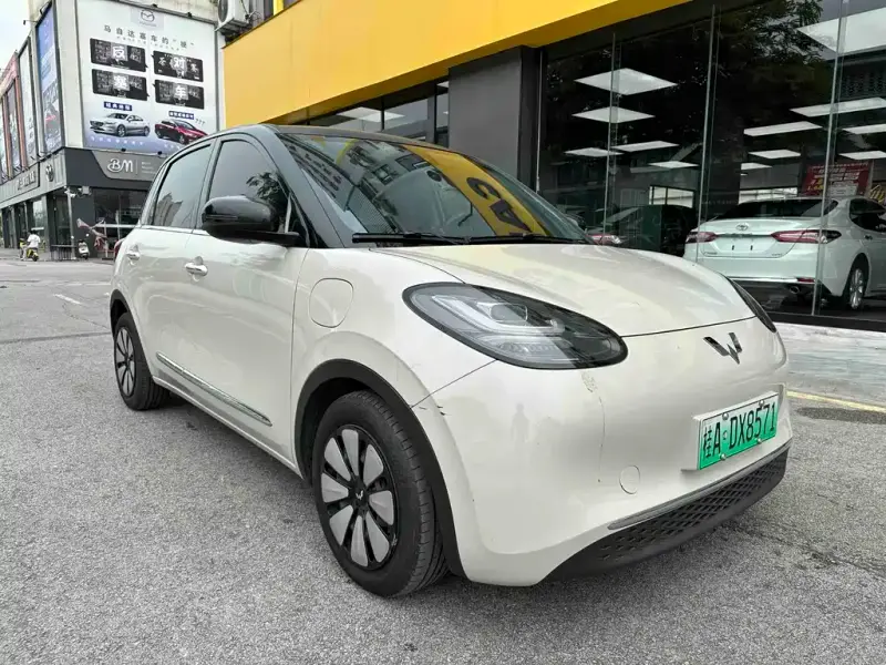 Wuling Bingo