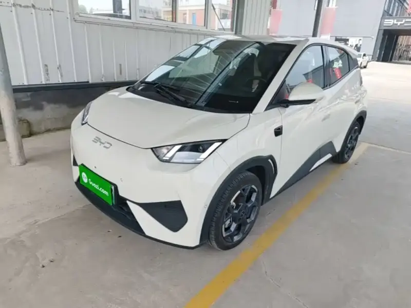 BYD Seagull