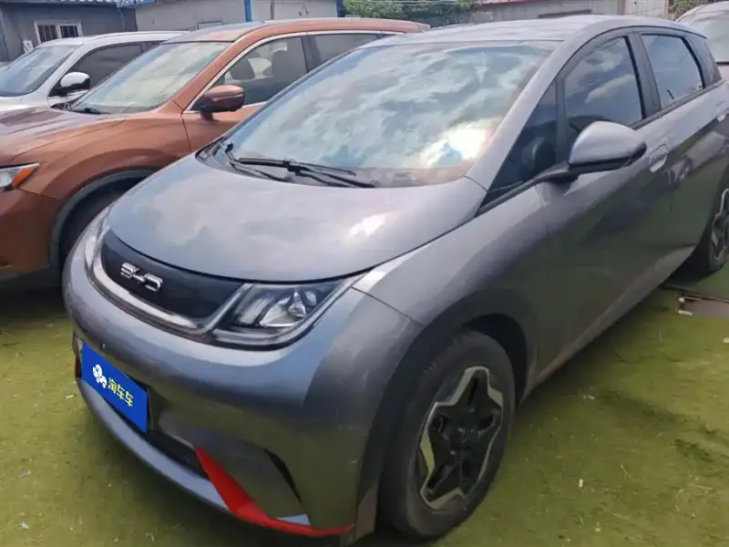 BYD Dolphin