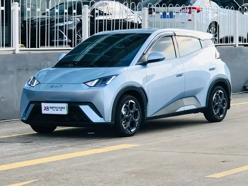 BYD Seagull
