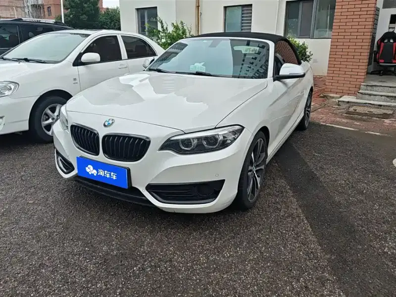 BMW 2 Series (Import)