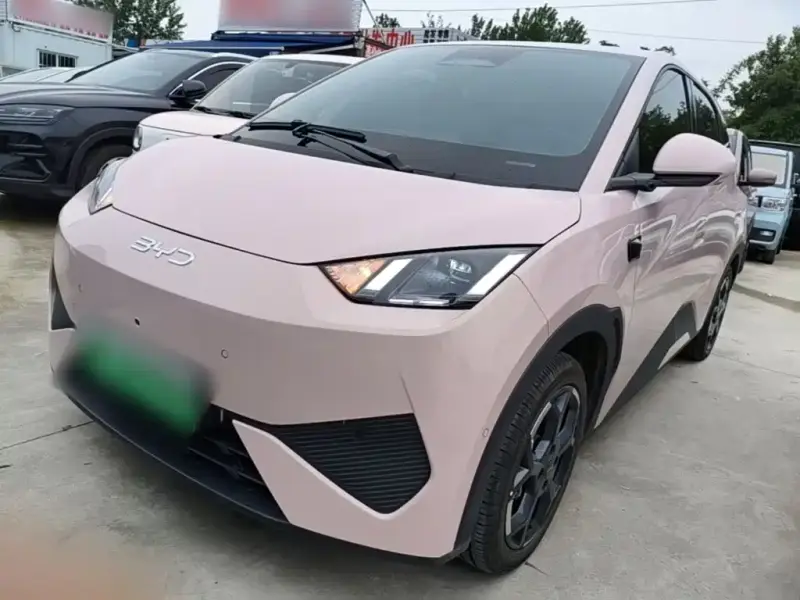 BYD Seagull
