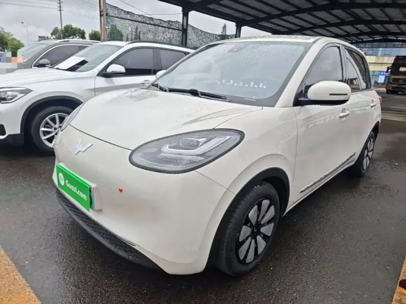 Wuling Bingo