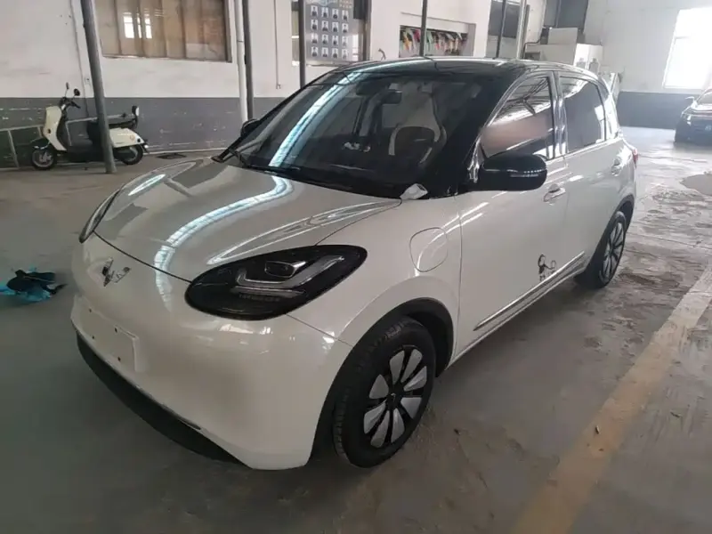 Wuling Bingo