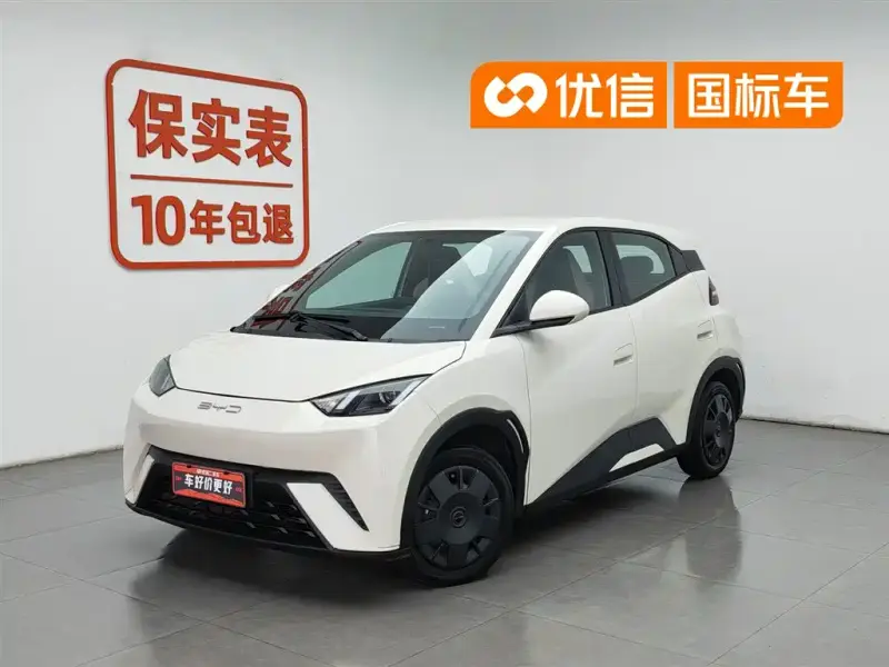 BYD Seagull