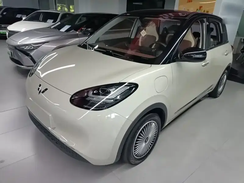 Wuling Bingo