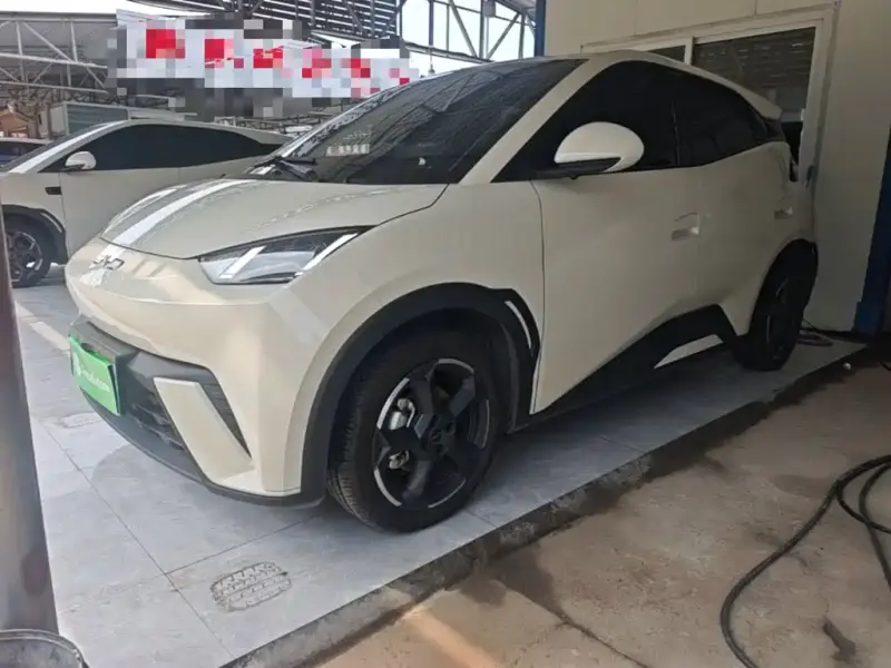 BYD Seagull