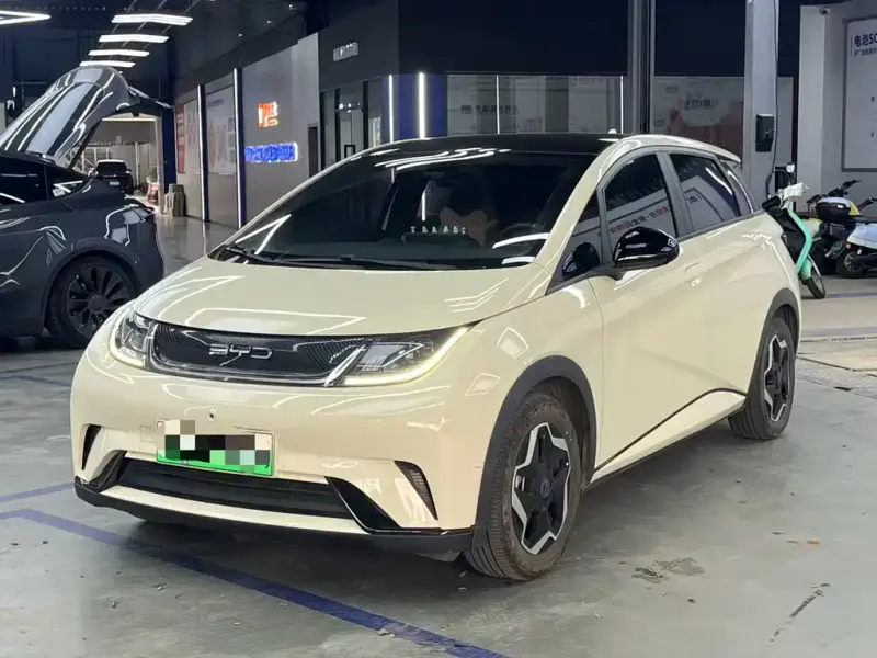 BYD Dolphin