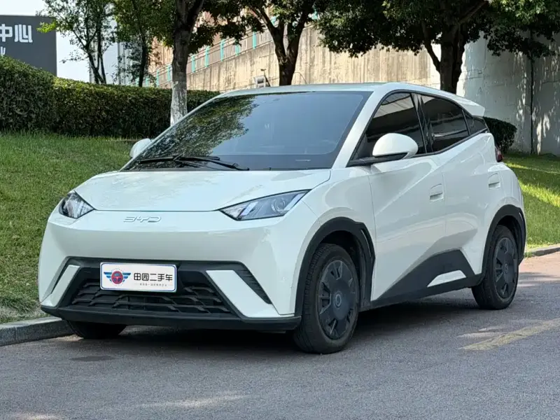 BYD Seagull