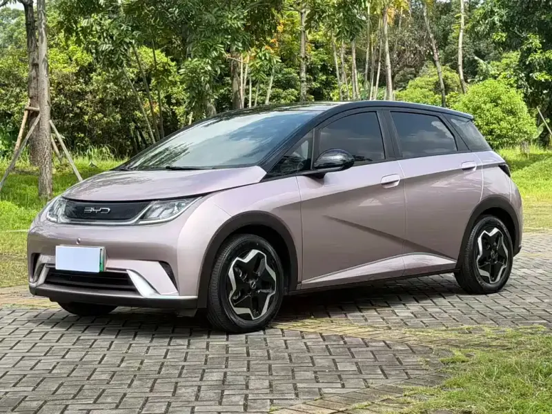 BYD Dolphin