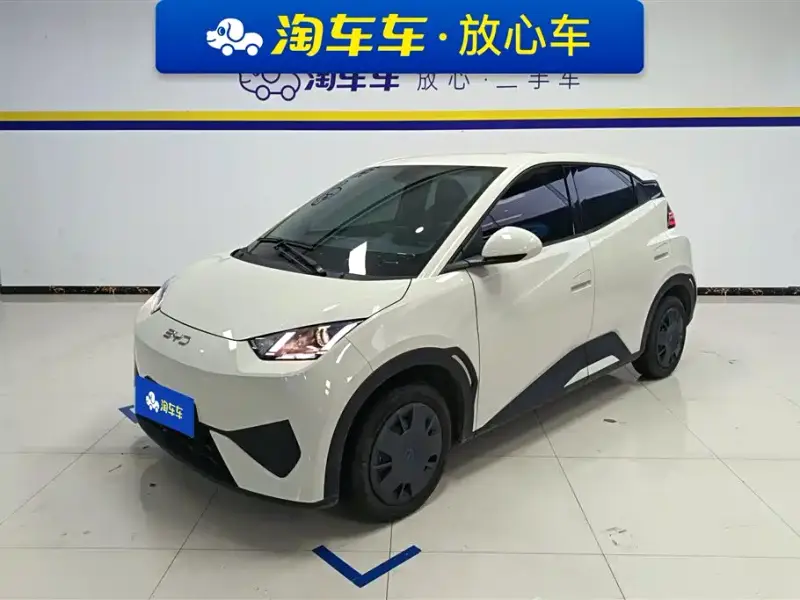 BYD Seagull
