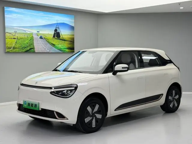 Dongfeng Yipai Nami 01