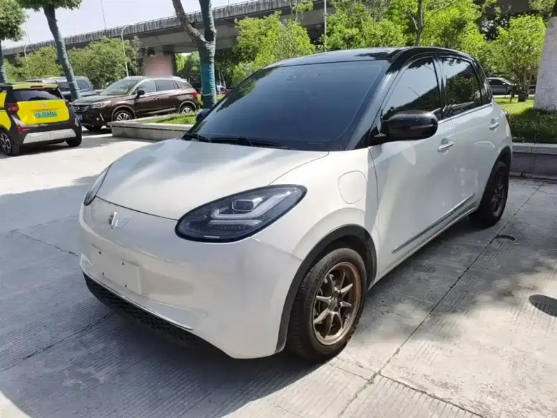 Wuling Bingo