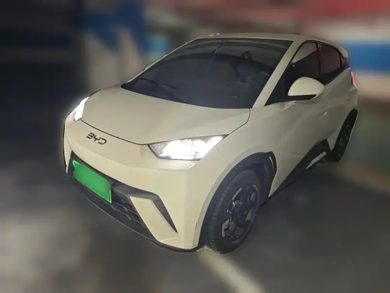 BYD Seagull