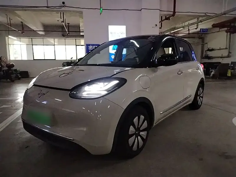Wuling Bingo
