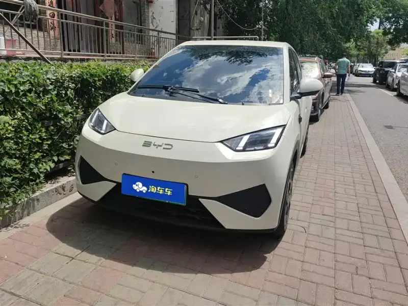 BYD Seagull