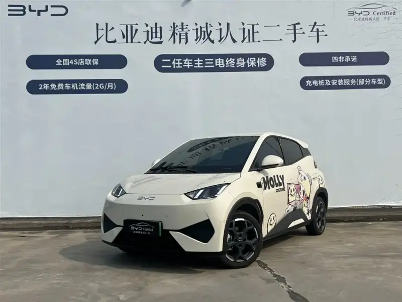 BYD Seagull