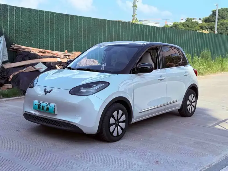 Wuling Bingo