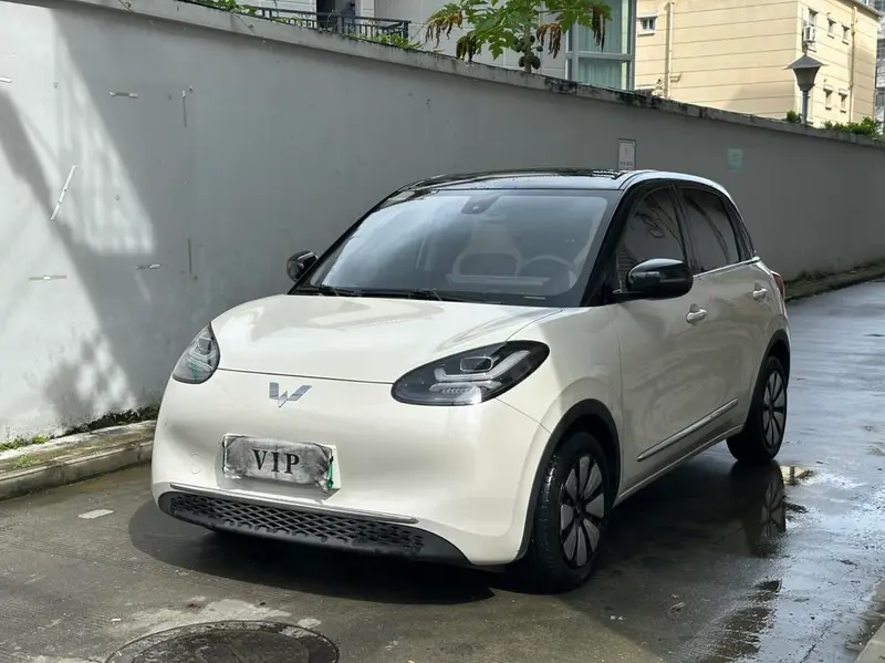 Wuling Bingo