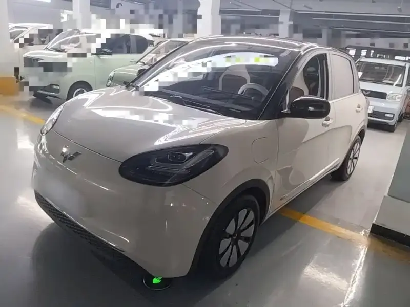Wuling Bingo