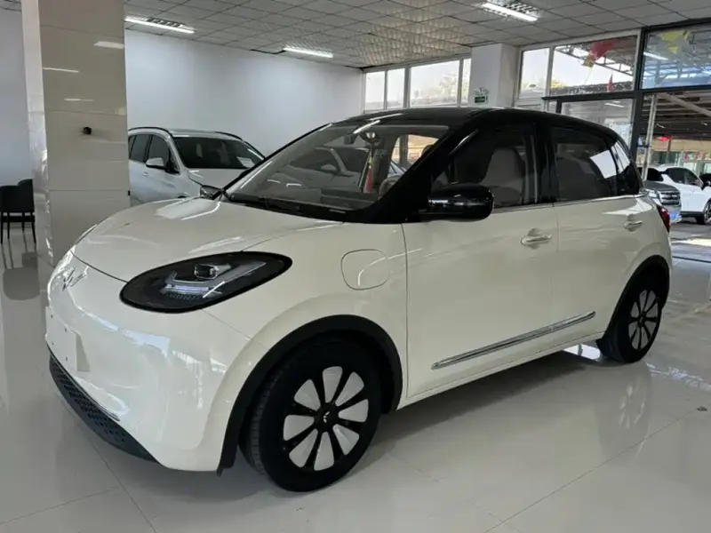 Wuling Bingo