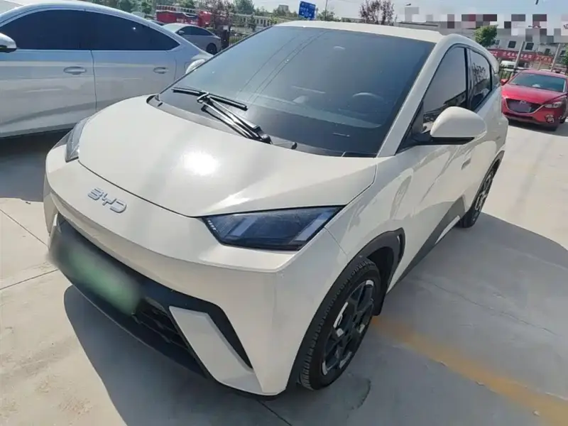 BYD Seagull