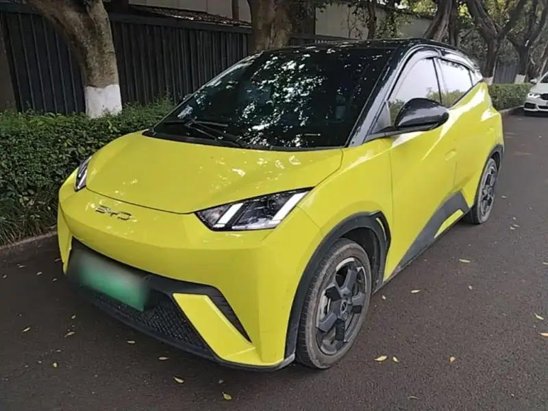 BYD Seagull