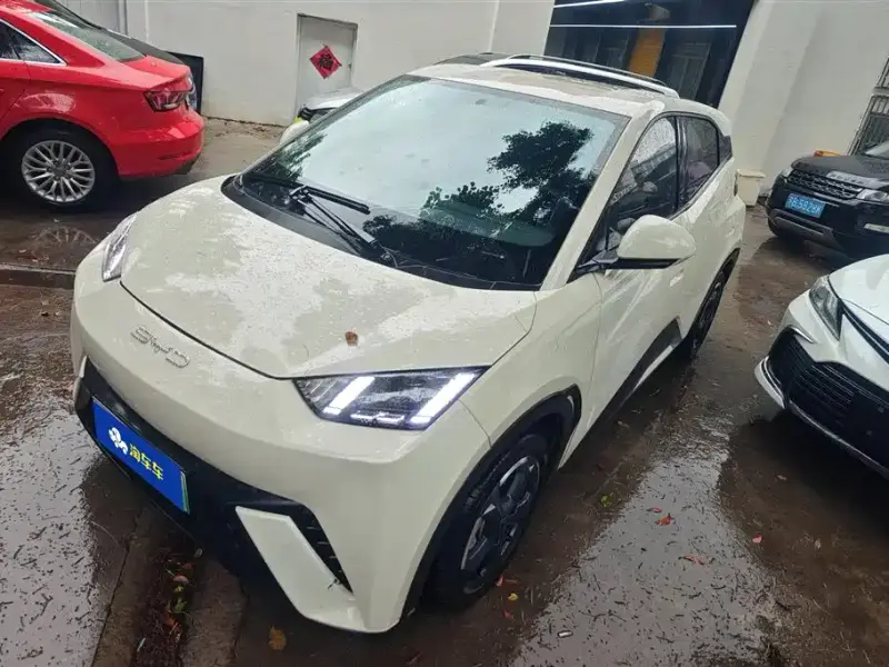 BYD Seagull