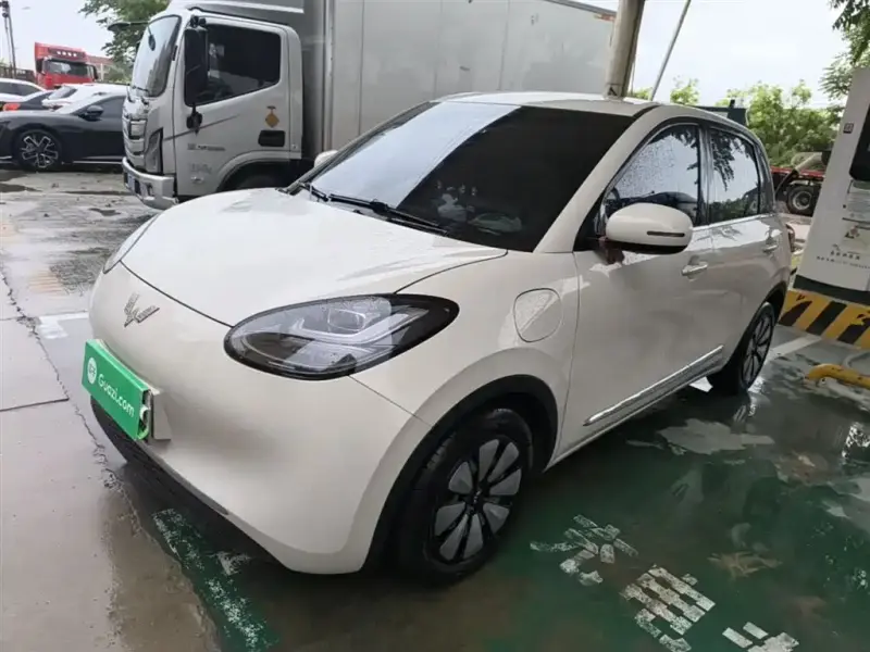 Wuling Bingo