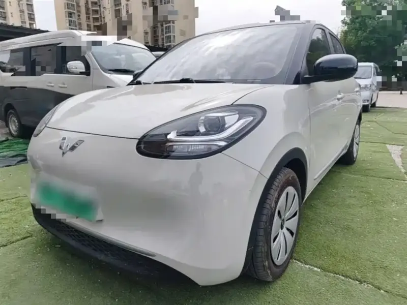 Wuling Bingo