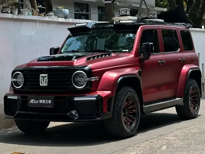 Tank 300