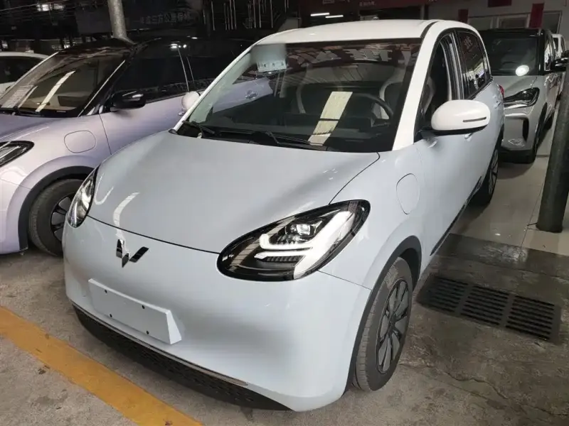 Wuling Bingo