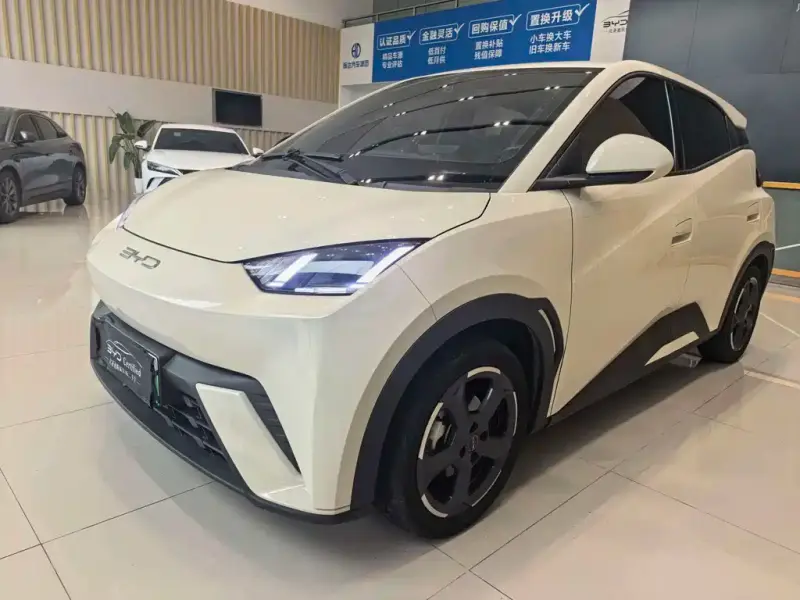 BYD Seagull