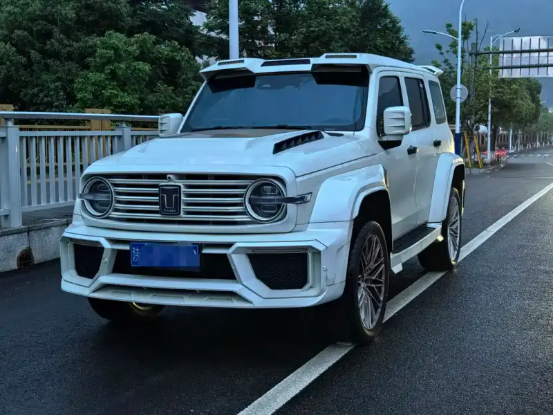 Tank 300