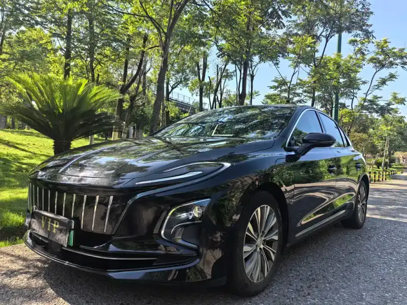 Hongqi E-QM5