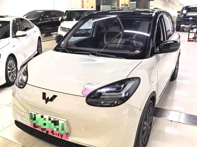 Wuling Bingo